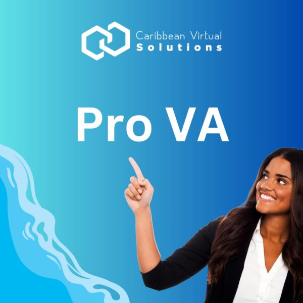 ProVA: Full-Time Virtual Assistant Service